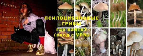 таблы Горно-Алтайск
