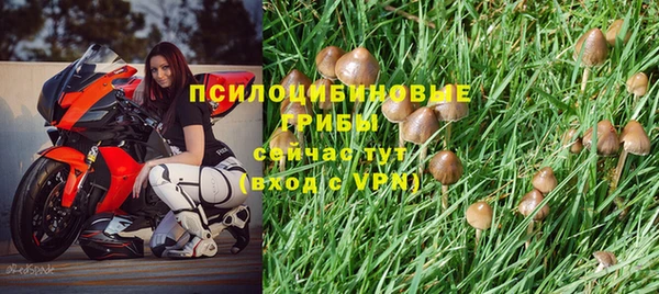 гашиш Горнозаводск