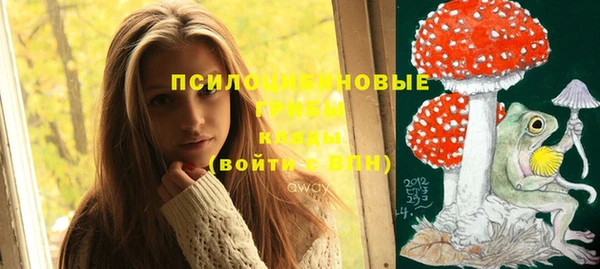 гашиш Горнозаводск