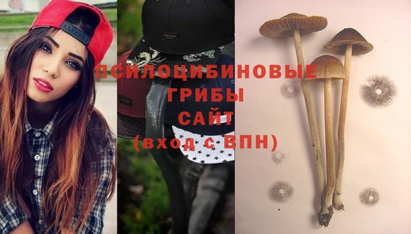 гашиш Горнозаводск