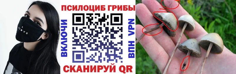 Купить закладки  Лабинск  Галлюциногенные грибы GOLDEN TEACHER 